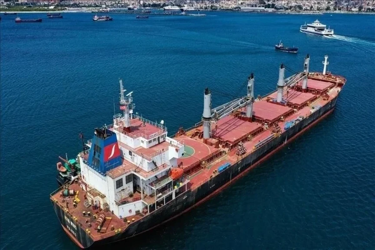 More than 30.2M tons of grain transported through Black Sea grain corridor