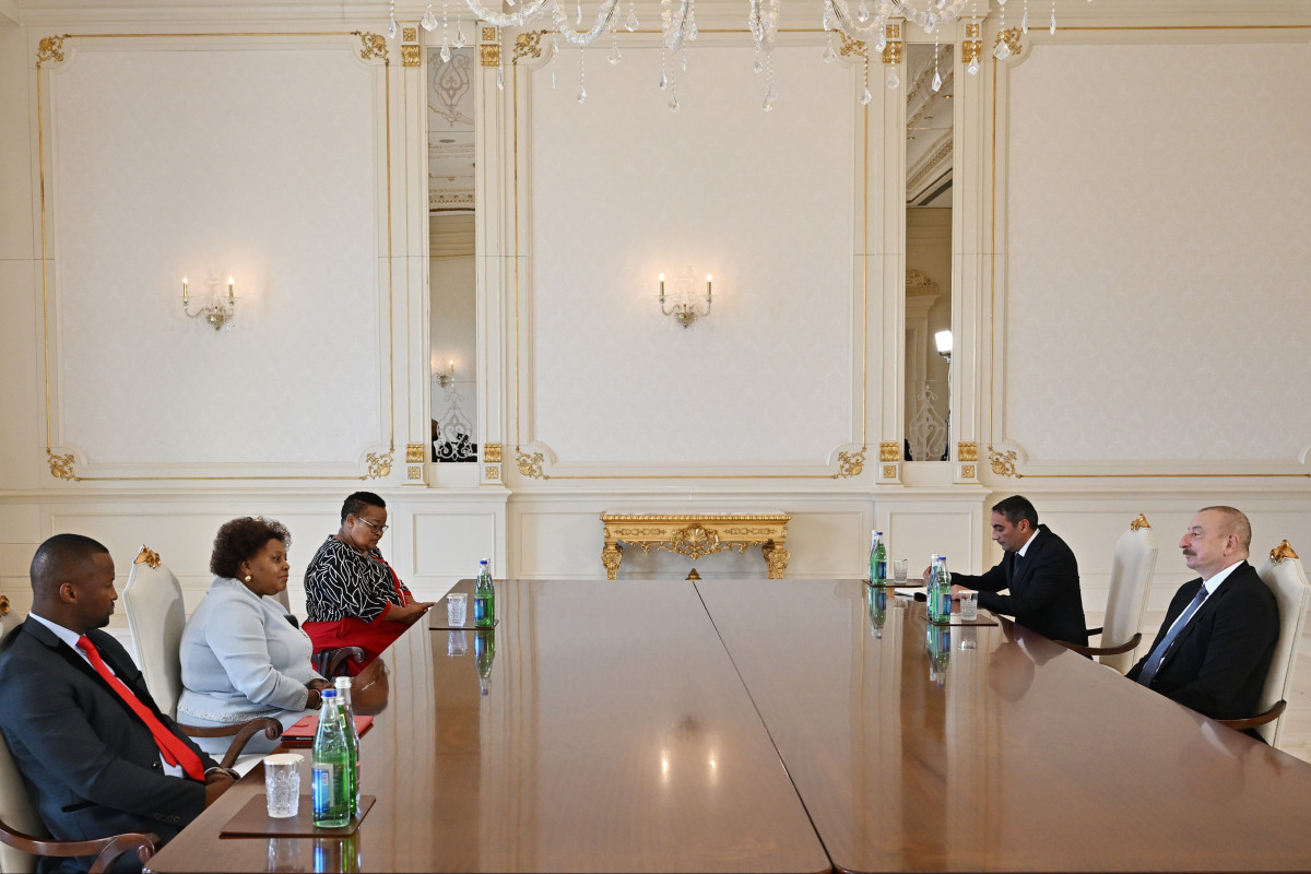 Президент Ильхам Алиев принял председателя Национальной ассамблеи ЮАР - ОБНОВЛЕНО 