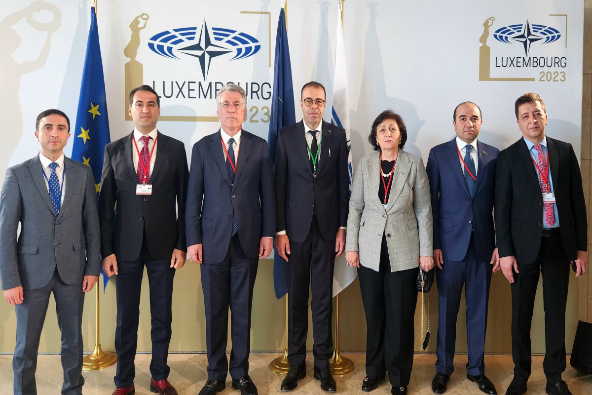 Азербайджанская делегация приняла участие в весенней сессии ПА НАТО