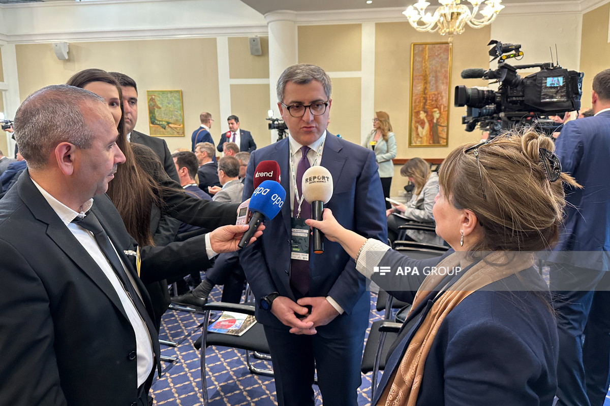 Azərbaycan və Litvanın iqtisadi inkişaf sahəsində əsas prioritetləri açıqlanıb