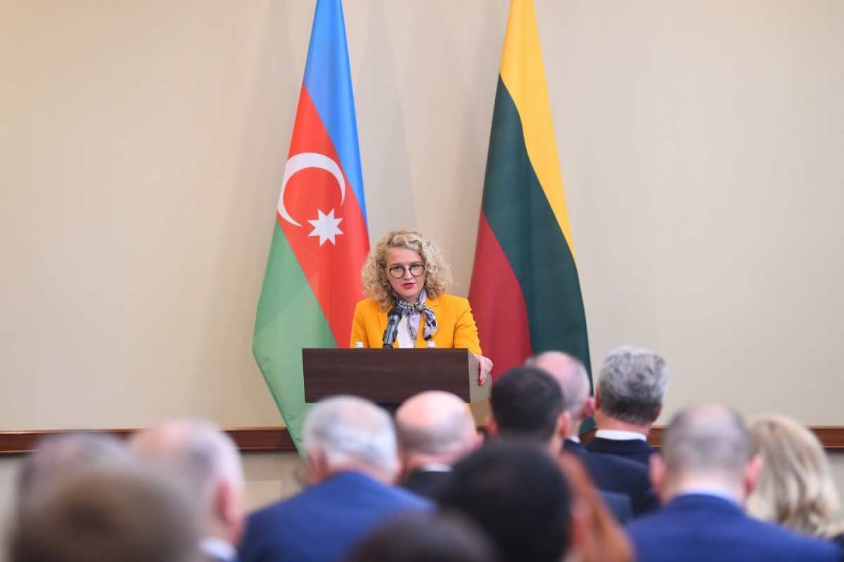 Nazir: Azərbaycan Cənubi Qafqaz regionunda Litva üçün çox vacib tərəfdaşdır