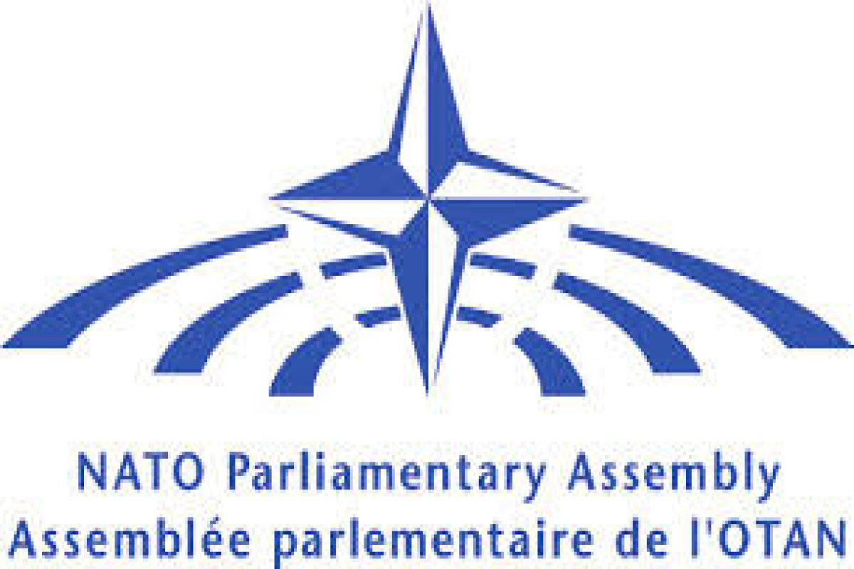 NATO PA recognizes Russia’s crimes against Ukraine as genocide – MP