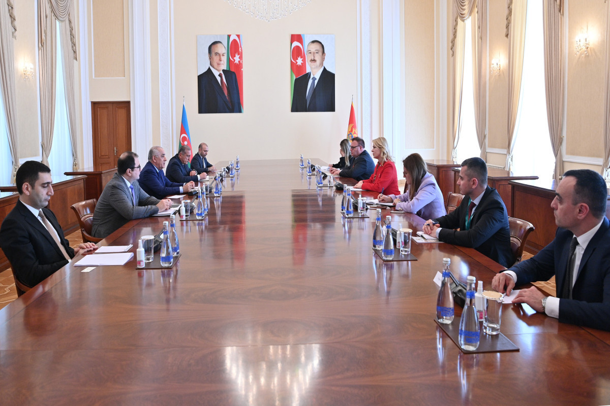 Azerbaijani PM meets with Speaker of the Parliament of Montenegro