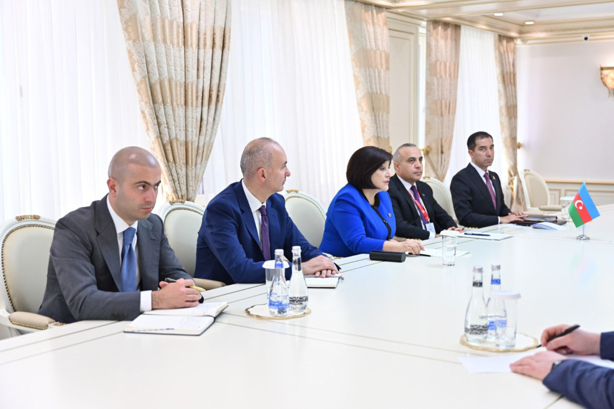 Сахиба Гафарова встретилась с президентом Парламентской ассамблеи ОБСЕ-ФОТО 