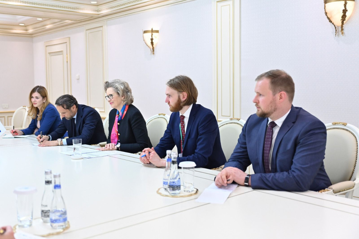 Сахиба Гафарова встретилась с президентом Парламентской ассамблеи ОБСЕ-ФОТО 