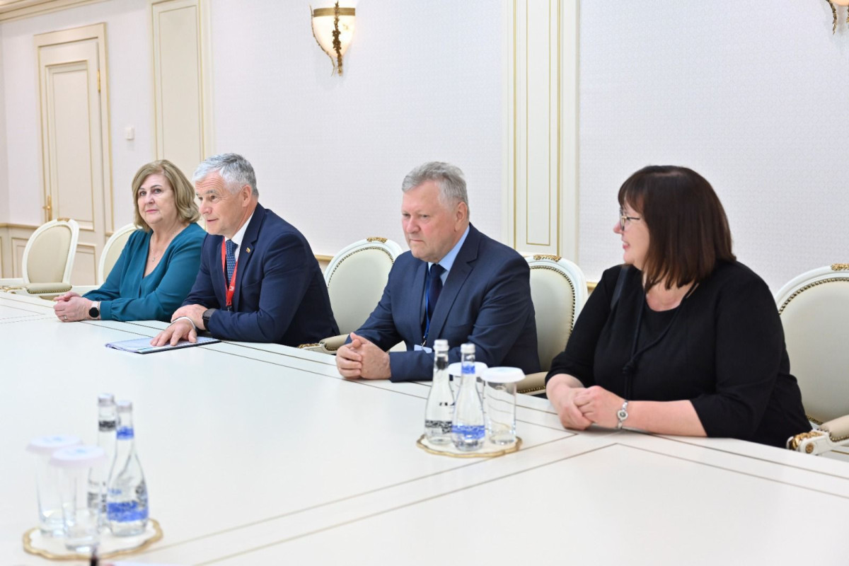 Председатель Милли Меджлиса встретилась с вице-спикером Сейма Литвы