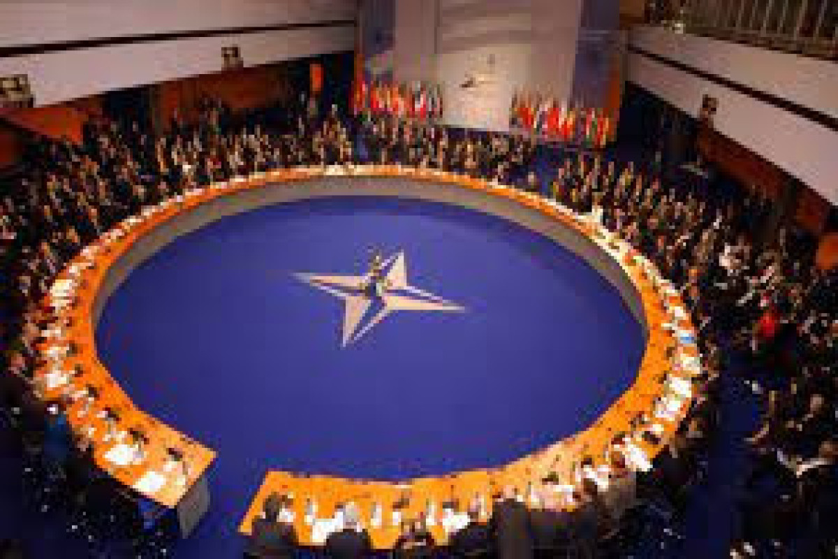 Парламентская ассамблея НАТО сделала заявление по F-16 для Украины