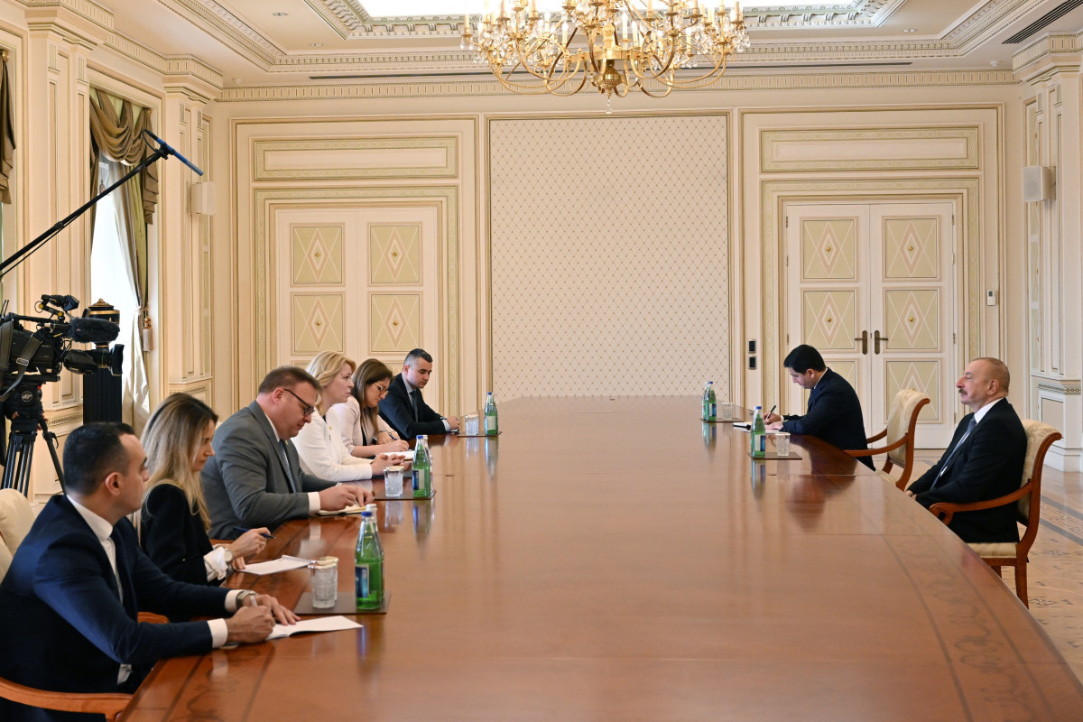 Президент Ильхам Алиев принял председателя парламента Монтенегро - ОБНОВЛЕНО 