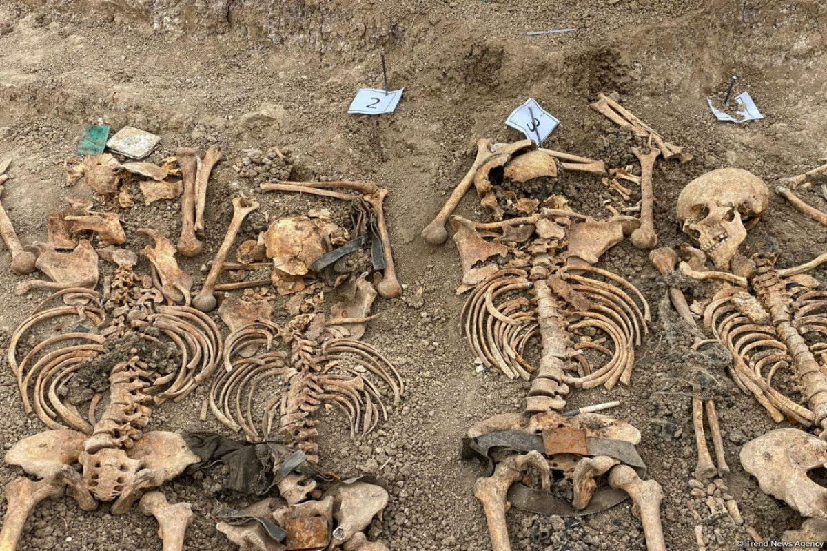 İşçi qrup: 400-dən artıq insan skeletinin eyniləşdirilməsi bizim üçün prioritetdir - FOTO 