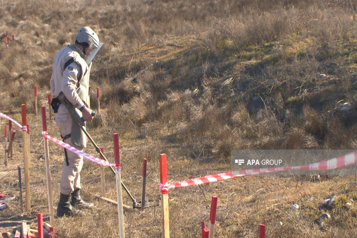 Адалят Гасанов: В районе села Юхары Сеидахмедли найдены останки, предположительно принадлежавшие двум людям