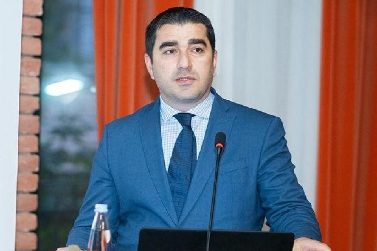 Spiker: Gürcüstan Avropa Komissiyasının tövsiyələrinin 80 faizini yerinə yetirib
