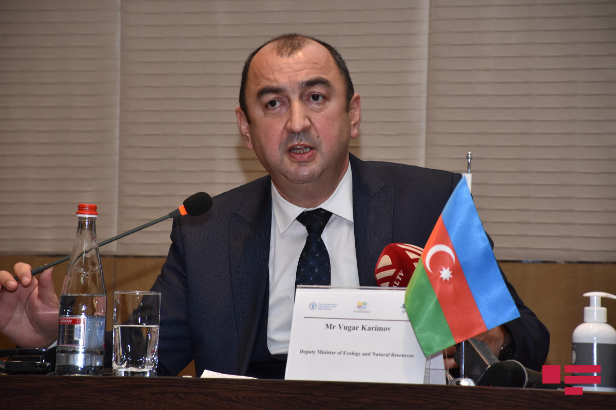 Qarabağ və Şərqi Zəngəzurda flora və fauna növlərinin mühafizəsi üçün rezervatların yaradılması nəzərdə tutulub