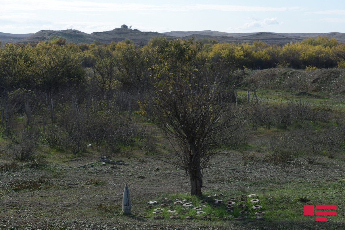 В Физулинском районе найдена могила правителя, захоронненого вместе с колесницей