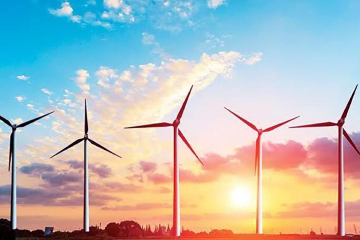 Agentlik: Növbəti illərdə külək enerjisi ilə işləyən turbinlərin təmiri və istismarı üzrə mütəxəssislər hazırlayacağıq