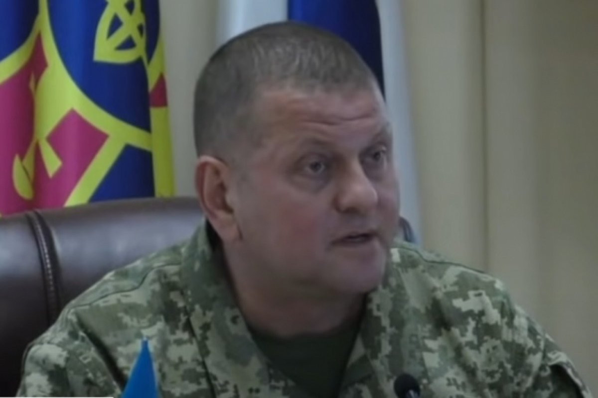 Valerii Zaluzhnyi, Commander-in-Chief of Ukraine's Armed Forces