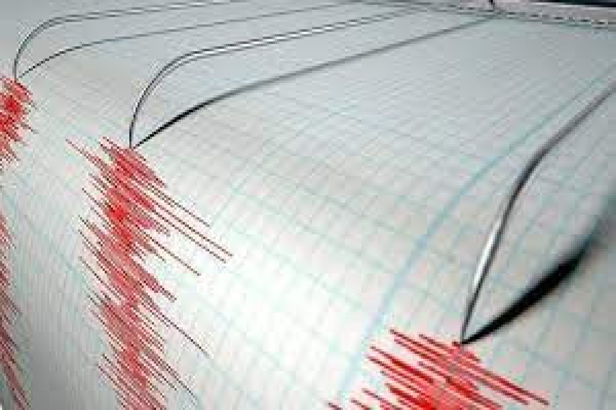 В Колумбии произошло землетрясение магнитудой 6,7