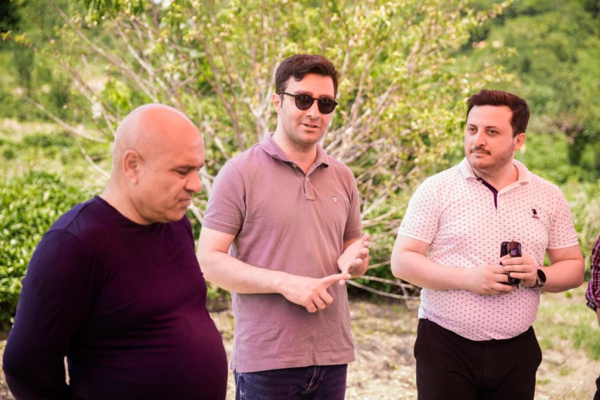 “Azerçay” KİV nümayəndələrinin çay plantasiyalarına media-turunu təşkil edib