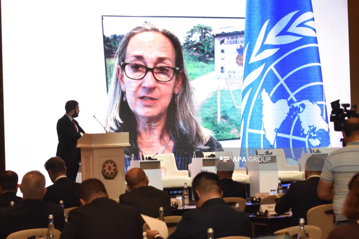 Azerbaijani government has done significant work in direction of mine clearance, UN says