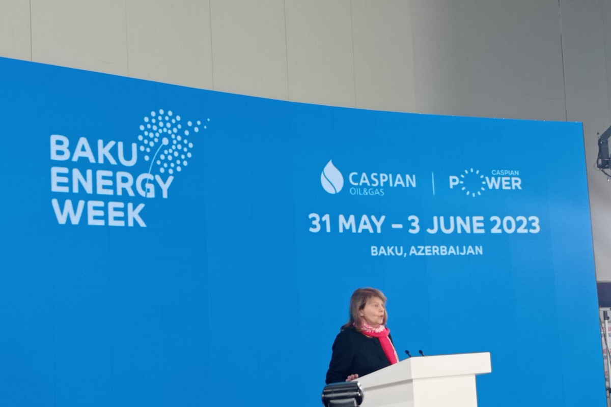Britaniya Baş nazirinin ticarət elçisi Bakı Enerji Həftəsində iştirak edir
