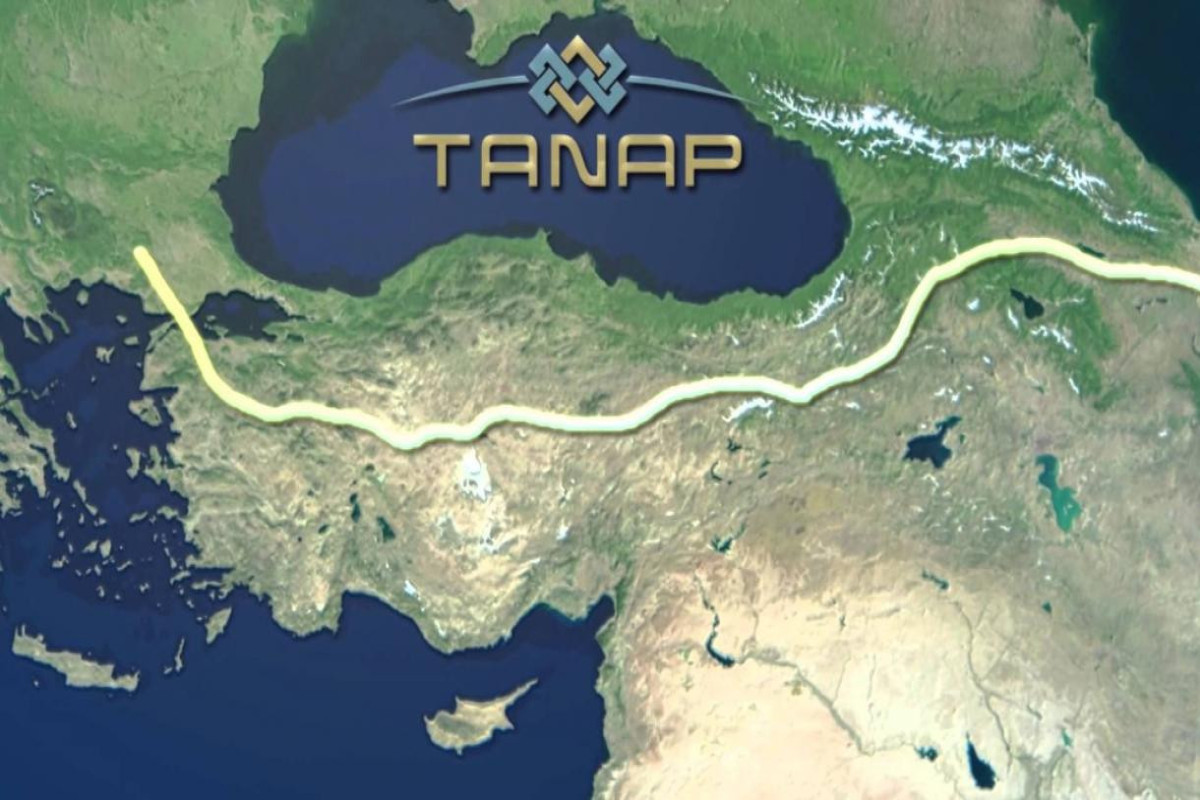 Volume of gas transported via TANAP to reach 50 bcm, director general says