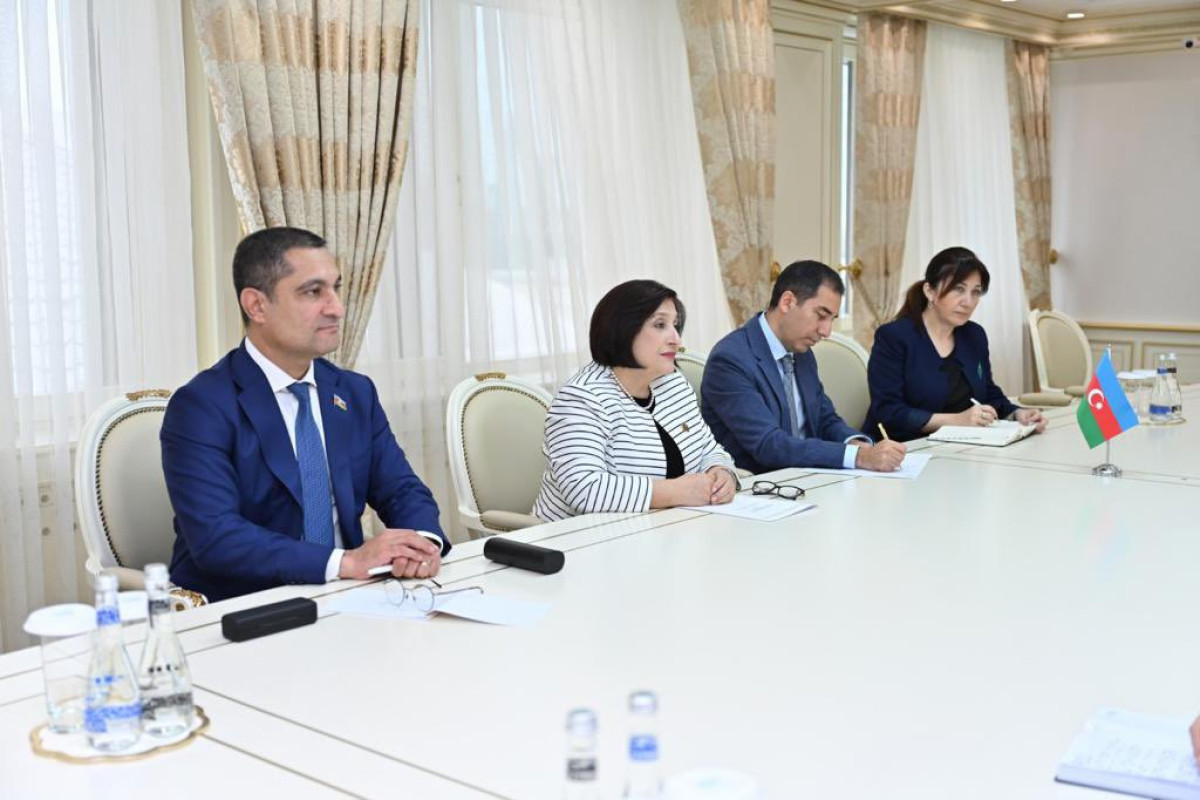 Speaker of Azerbaijani Parliament meets with UK Prime Minister’s Trade Envoy to Azerbaijan