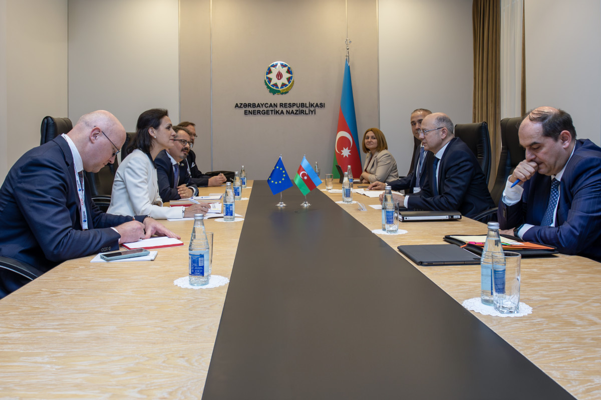 Обсуждено развитие энергетических проектов США и ЕС с Азербайджаном