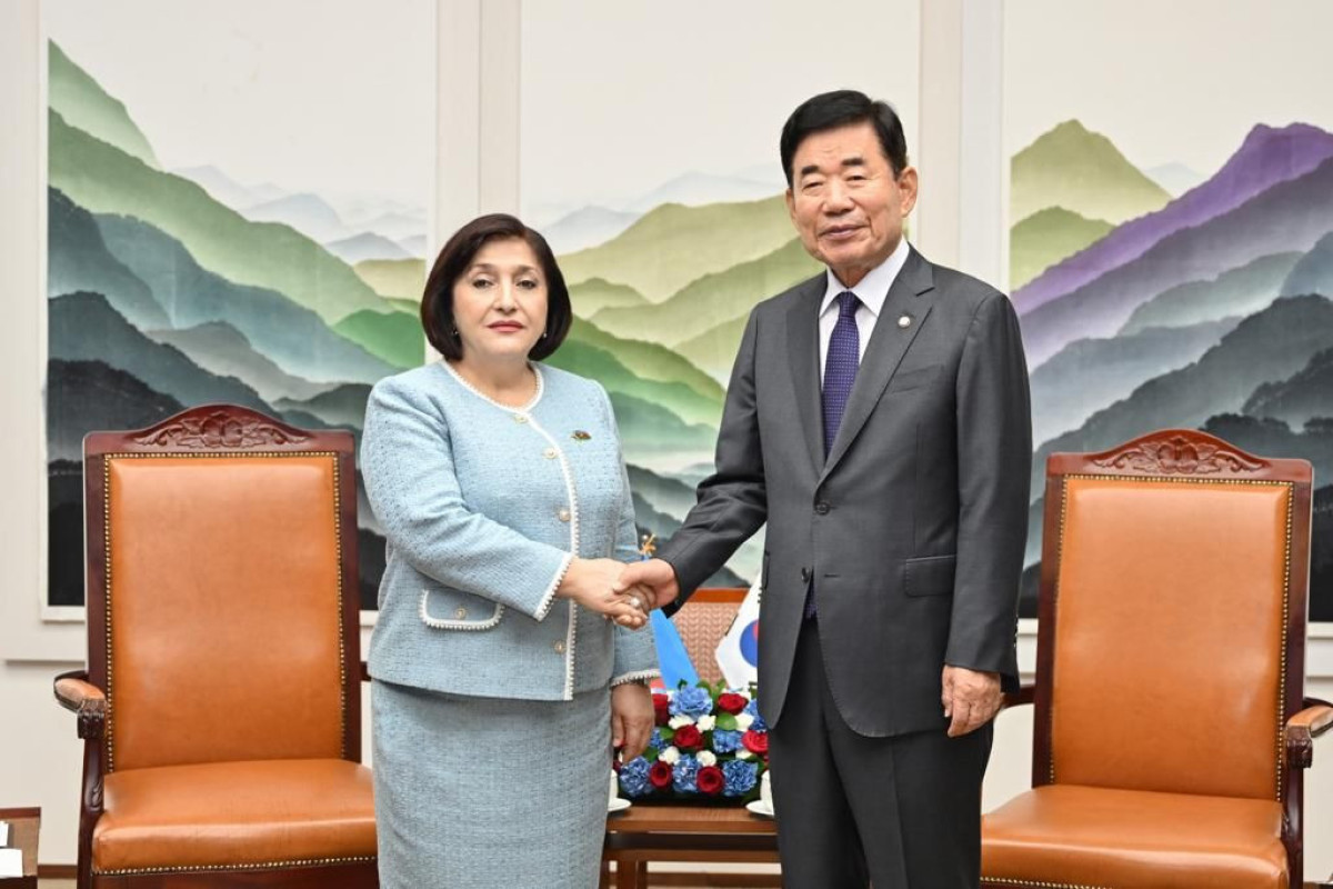 Milli Məclis və Koreya Milli Assambleyasının sədrləri görüşüb