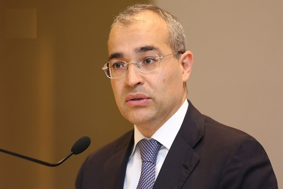 Nazir: Azad edilmiş ərazilər kənd təsərrüfatının inkişafına töhfə verəcək