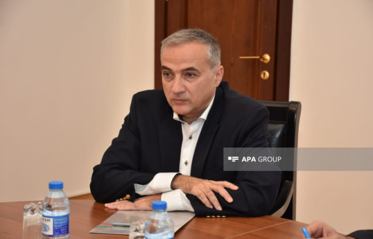 Fərid Şəfiyev: Azərbaycan və Ermənistan arasında dialoqda Gürcüstan aktiv iştirak edir
