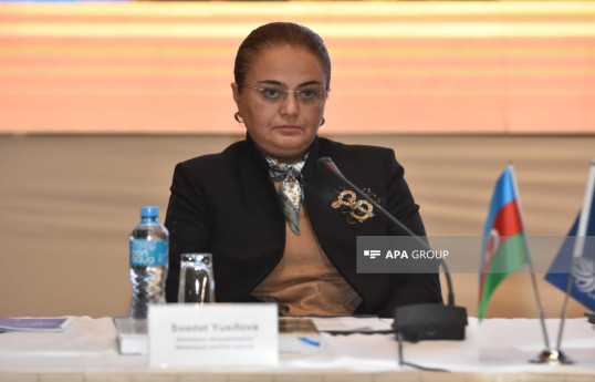 Nazir müavini: Məhv edilən tarixi-mədəni irsimizə görə, Ermənistanı mühakimə etmək hüququmuz var