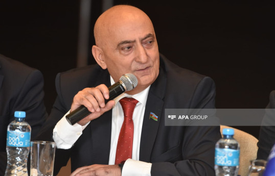 Musa Qasımlı: Azərbaycan sərhədlərindən kənarda olan tarixi-mədəni abidələrimizi araşdırmalıyıq