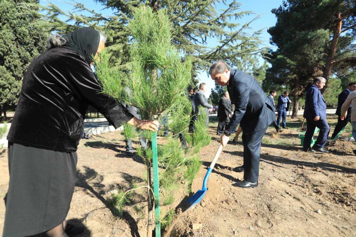 Gəncədə Zəfər Günü ilə əlaqədar ağacəkmə aksiyası təşkil olunub
