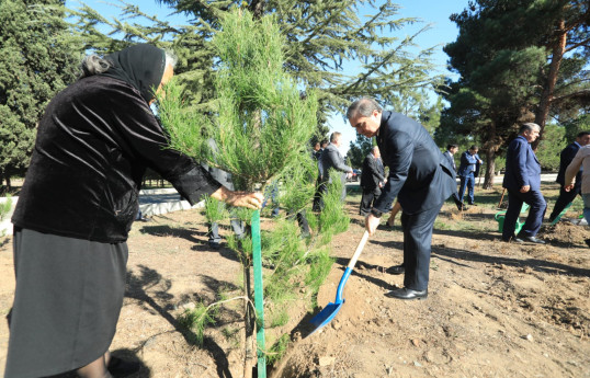 Gəncədə Zəfər Günü ilə əlaqədar ağacəkmə aksiyası təşkil olunub