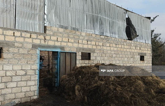 Şabranda yanğın olub, mal-qara yanıb - FOTO 