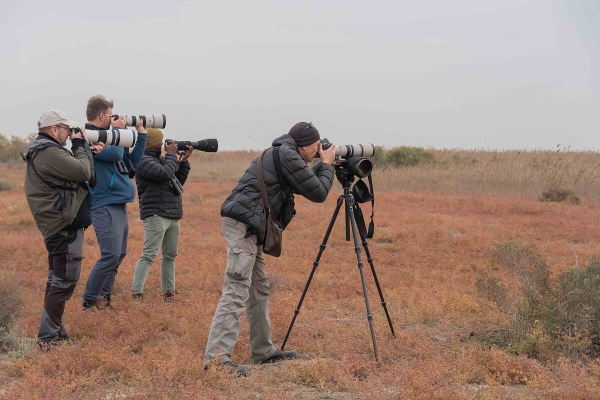 Xarici turoperatorlar Azərbaycanın ornitoloji turizm imkanları ilə tanış olublar