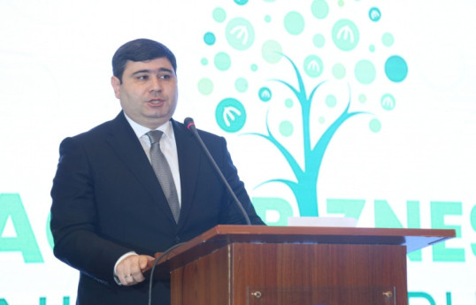 Toğrul Əliyev: ESI riskləri ilə bağlı 52 maliyyə təşkilatında sorğu keçirilib