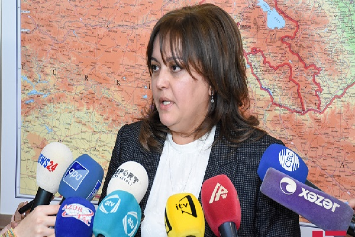 Umayra Tağıyeva: Təmiz enerji və yaşıl texnologiyalara qlobal sərmayələr artırılmalıdır