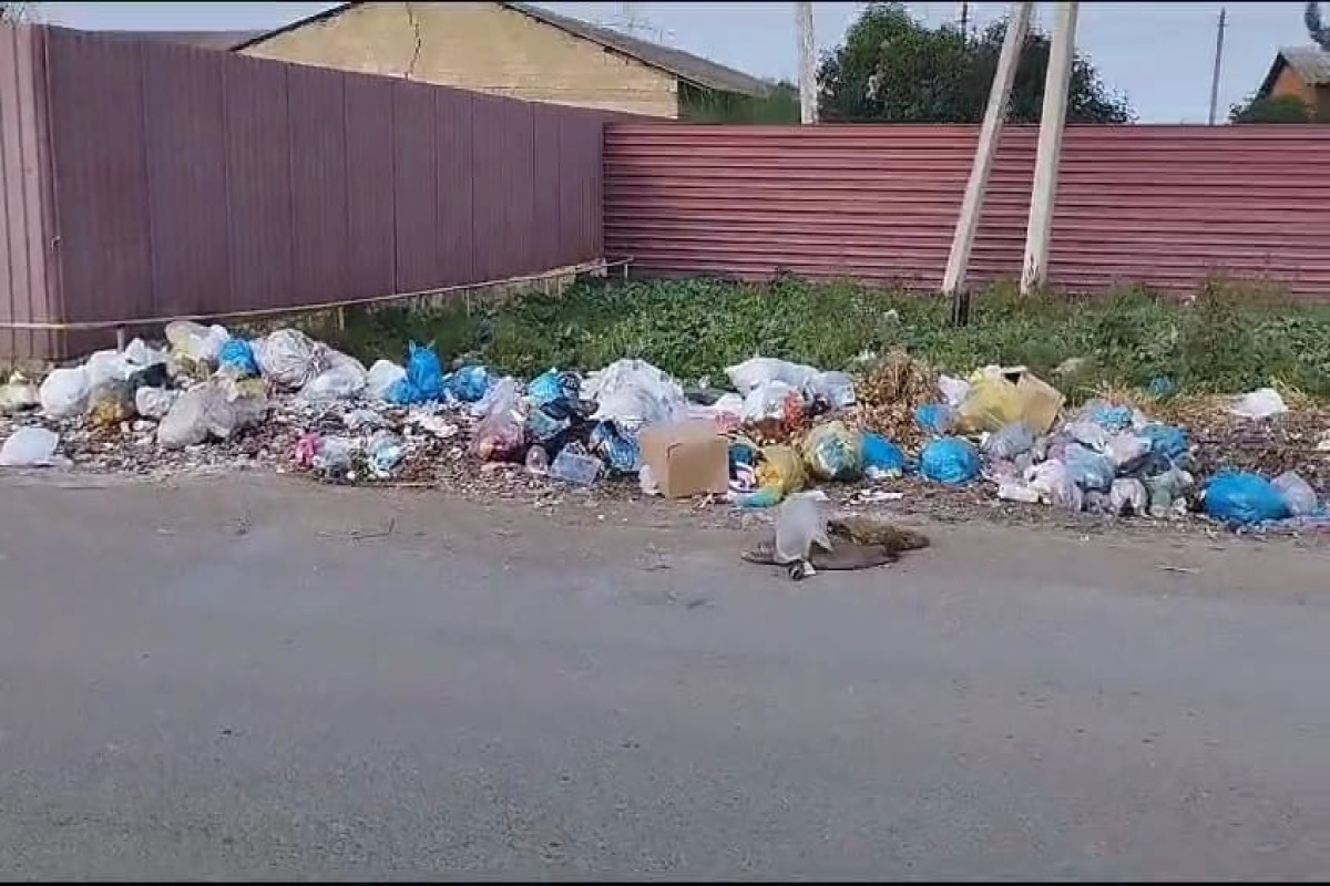 Cəlilabadda ətrafı mühiti çirkləndirənlər cərimələnib