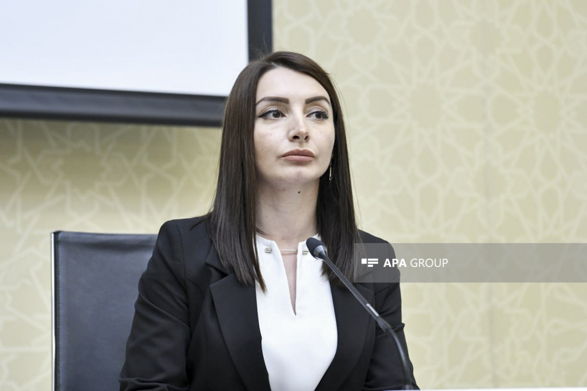 Səfir Leyla Abdullayeva Parisin ermənipərəst merinə məktub göndərib