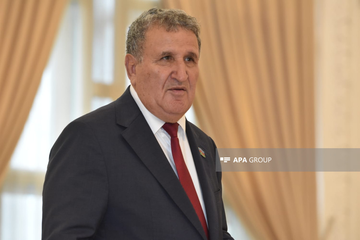 İsa Həbibbəyli: Nobelə iddialı olmadıqca, heç vaxt bu mükafatı ala bilməyəcəyik