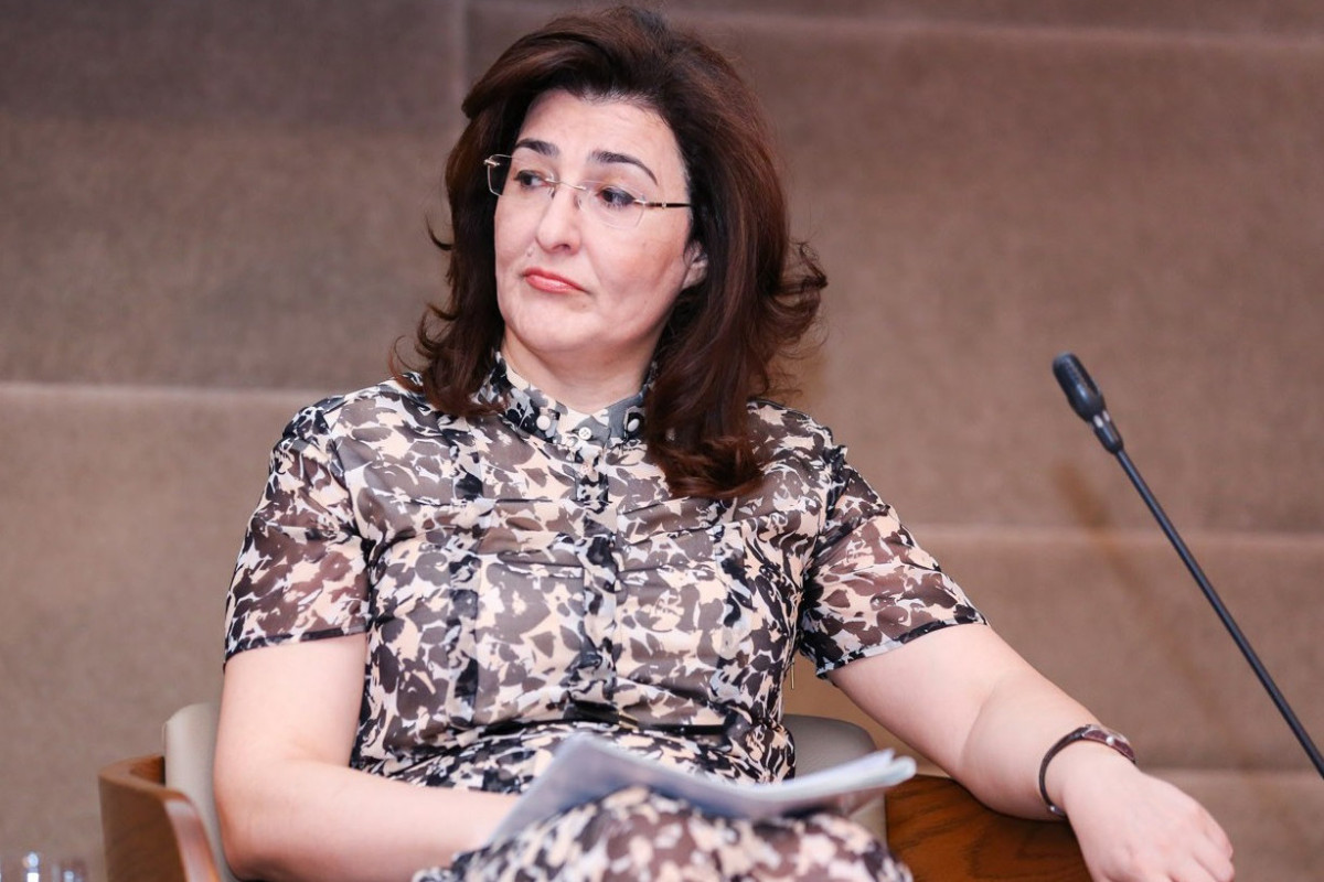 Azərbaycanda nazir müavini vəzifəsindən azad edilib
