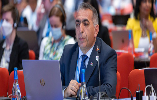 Bəxtiyar Məmmədov: Azərbaycan kağızsız transsərhəd əməkdaşlığını dəstəkləyir