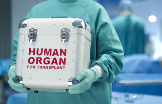 Son 3 ayda İTS çərçivəsində 37 orqan transplantasiyası əməliyyatı həyata keçirilib