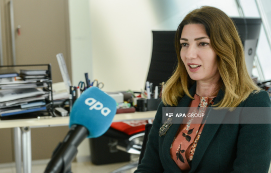 Şirin Məlikova Azərbaycan Milli İncəsənət Muzeyinin direktoru təyin edilib