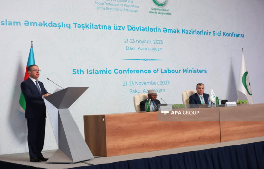 Bakıda İƏT əmək nazirlərinin sessiyası keçirilir - FOTO 