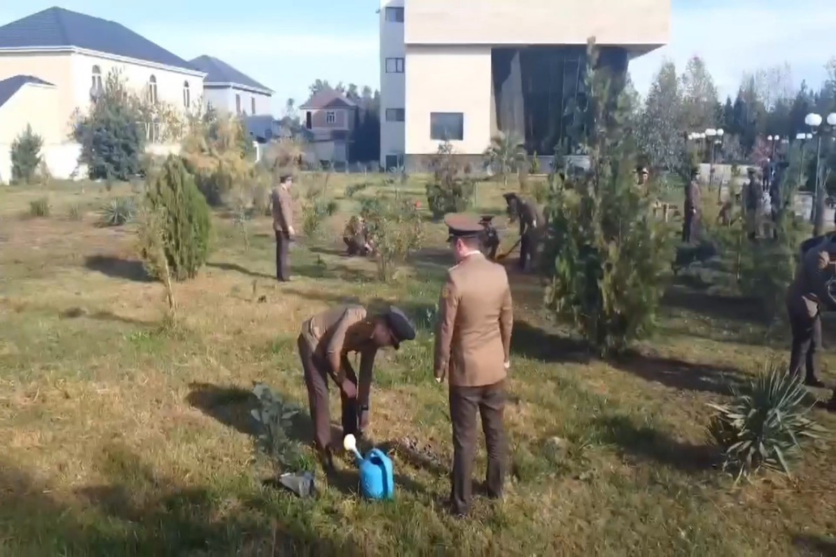 FHN ağacəkmə aksiyası keçirib