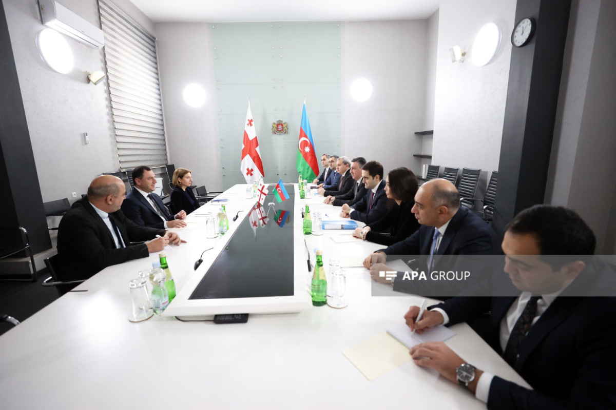 Tbilisidə Azərbaycan və Gürcüstanın təhsil əlaqələri müzakirə olunub - FOTO 