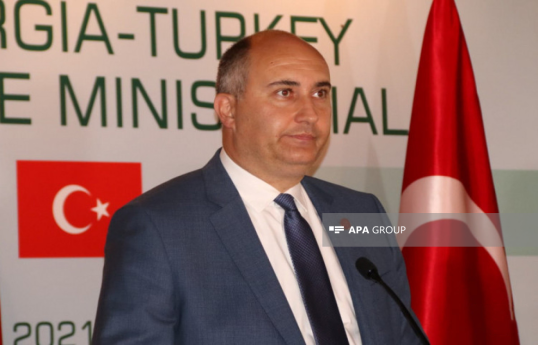 Gürcüstanın müdafiə naziri Azərbaycana gəlib