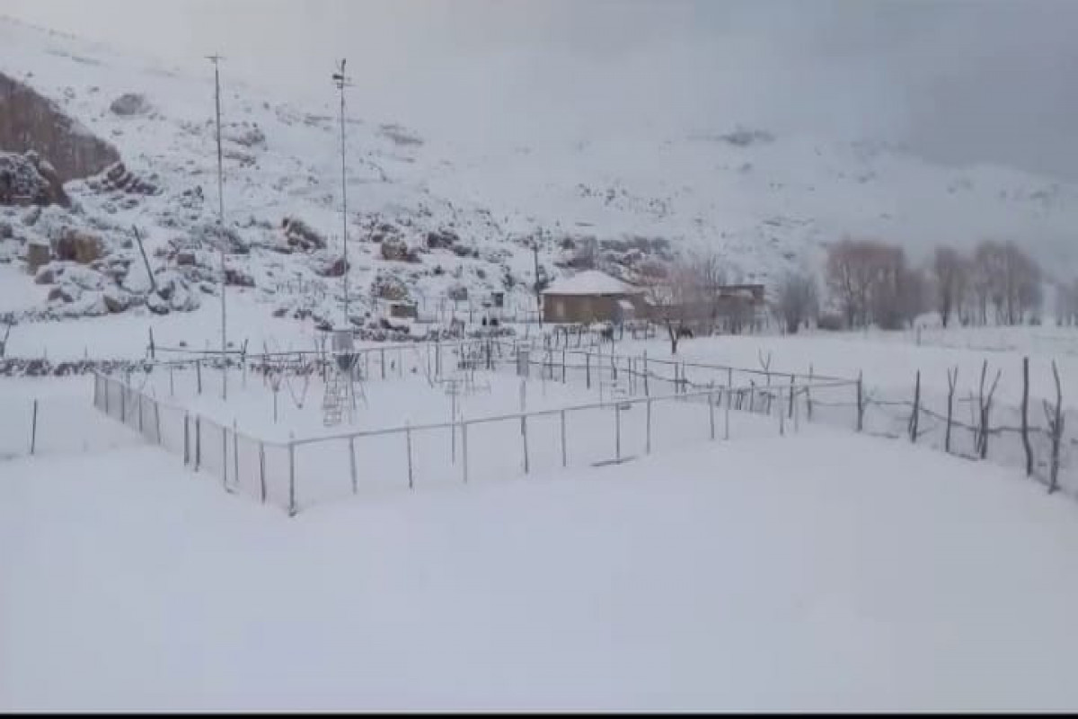 Şimal bölgəsinə güclü qar yağıb - FOTO 