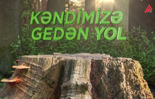 “Kəndimizə gedən yol” mobil film müsabiqəsinin qalibləri açıqlanacaq